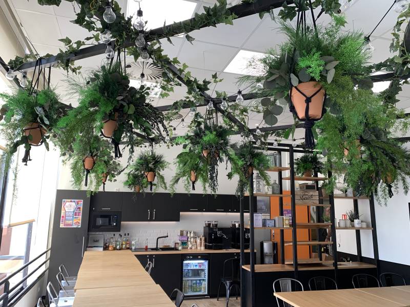 Plafond suspendu plantes stabilisées