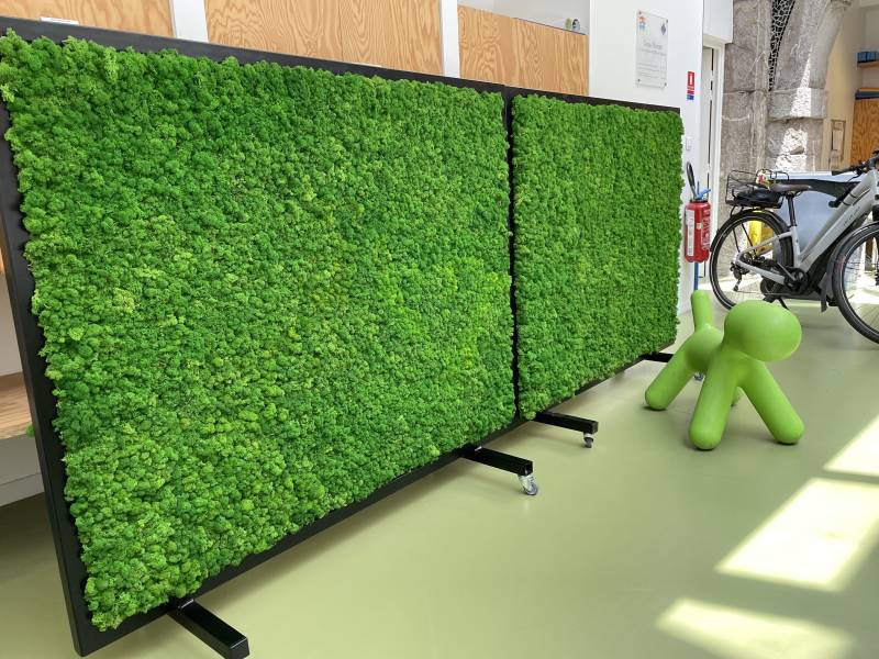 Cloison séparative végétalisée design sur-mesure et acoustique en lichen stabilisé sur structure métallique pour open space, bureaux et agences en région parisienne