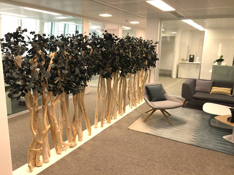 Cloison séparative végétalisée design sur-mesure en eucalytus stabilisé et tronc en  boispour open space, bureaux et agences en région parisienne