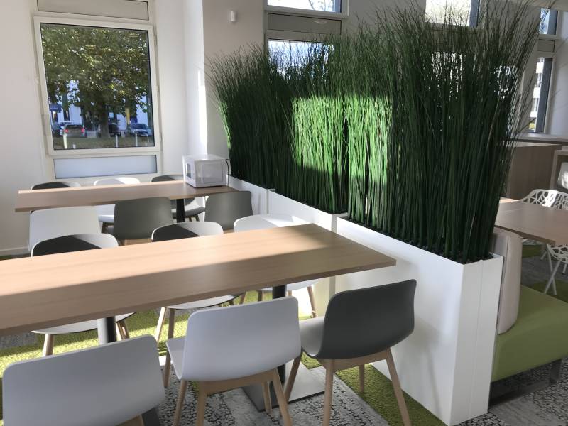 Cloison séparative végétalisée design sur-mesure en ginerium stabilisé dans jardinière pour open space, bureaux et agences en région parisienne