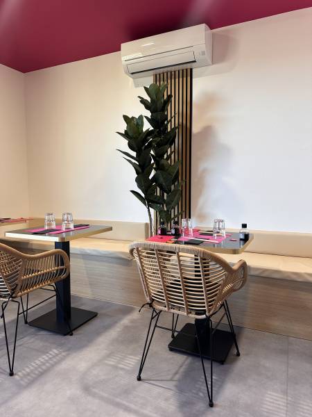 Création de bacs à fleurs avec banquettes ficus 3 troncs artificiels au restaurant Lady Sushi à St Gely du Fesc près de Montpellier