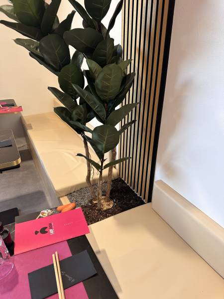 Création de bacs à fleurs avec banquettes ficus 3 troncs artificiels au restaurant Lady Sushi à St Gely du Fesc près de Montpellier