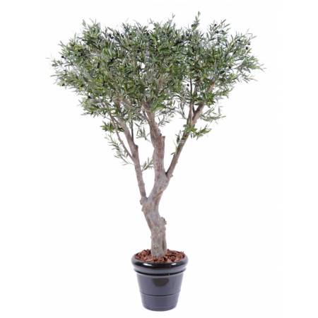 Notre zone d'activité pour ce service Mur végétal intérieur anti-bruit en plantes stabilisée pour réduire l'acoustique des open-space